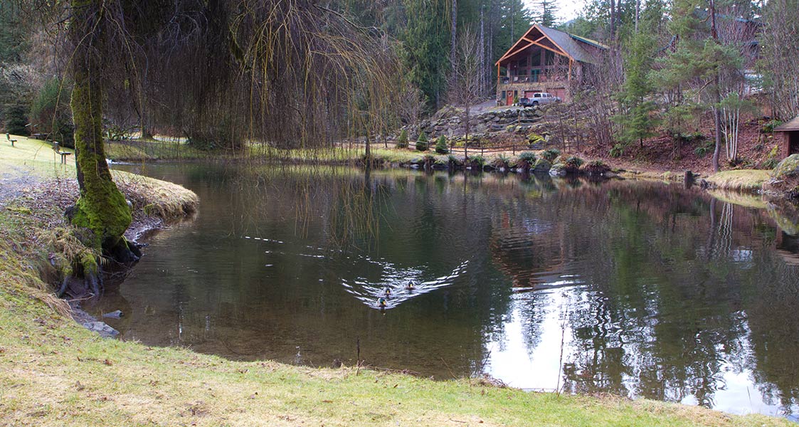 Snowline pond chalet overlooking a quiet pond