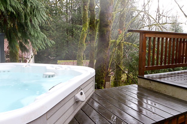 Welcome Road — Kestrel-built home in Glacier, WA, photo 13 of 15